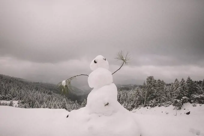 Snowman Dancing on a Scenic Overlook