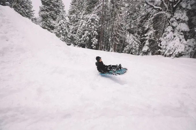 Young Boy Sledding Quickly Down a Hill.