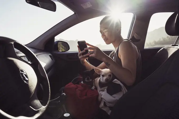 healthy person uses phone in car with dogs on lap and sun shining