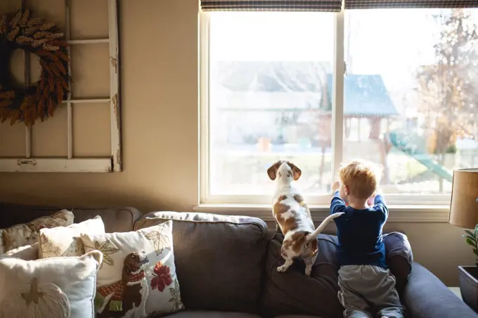 Toddler boy and Dachshund dog sitting on couch and looking out window