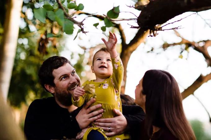 Parents Holding Young Daughter Sitting in Tree in San Diego