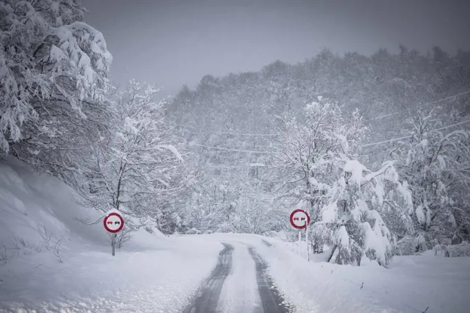 high mountain road and traffic signs in the middle of a snowfall