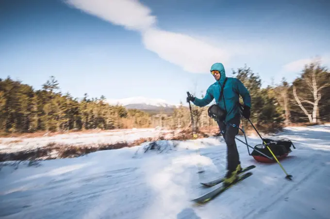 Man skis on snow covered trail towing sled, Katahdin, Maine