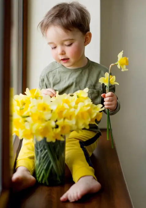 Portrait of cute toddler arranging yellow spring narcissus flowers