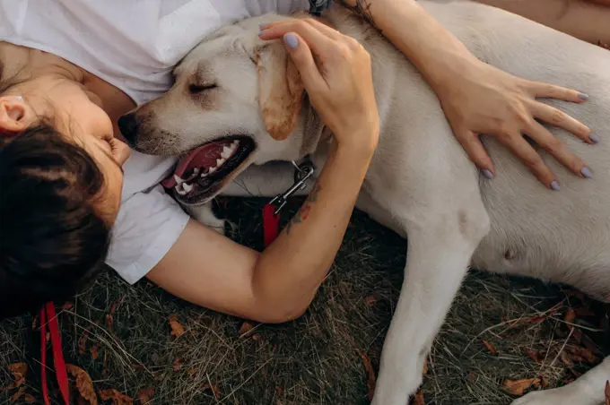 Woman hugging her Labrador outdoors. Lifestyles and pet care concept.