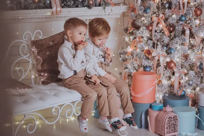 Cheerful cute children boys opening gifts under christmas tree.