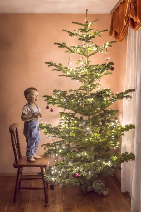 little boy in awe looking at christmas tree for the first time