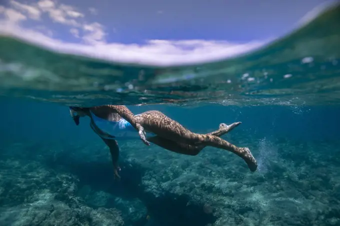 Female swims underwater in blue Hawaiian waters