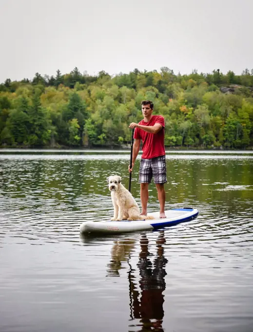 Man paddling a stand up paddleboard SUP with his dog on a lake.