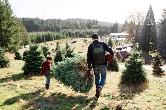 Father and Son carrying freshly cut Christmas Tree