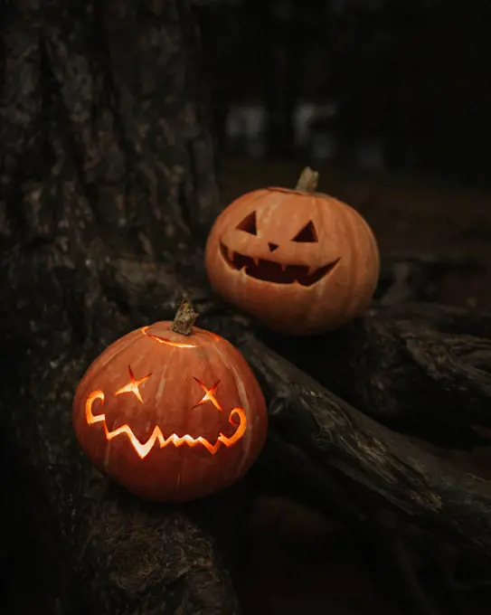 Halloween pumpkins on a driftwood