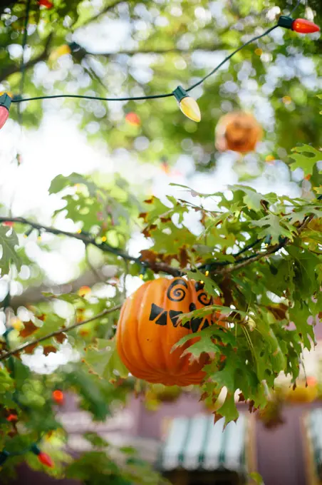 Pumpkin halloween decoration in tree in Anaheim Calfornia