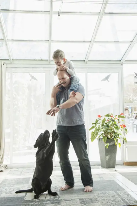 Father playing with dog while carryinng son on his shoulder