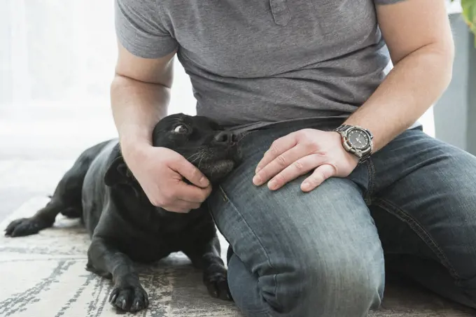 Close-up of man's hand stroking dog