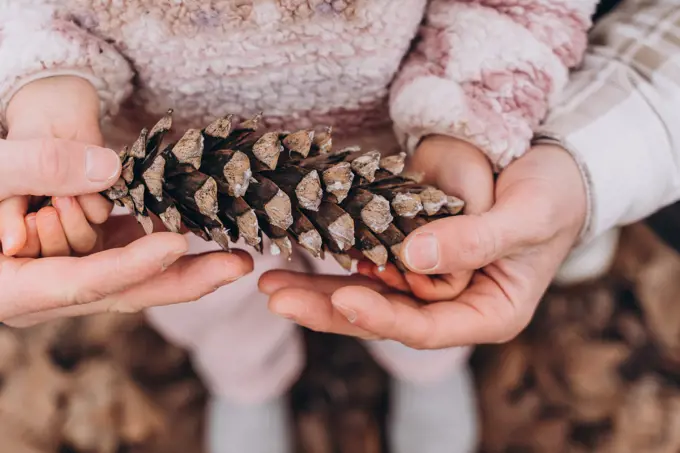 Dad and baby daughter holding a pine cone