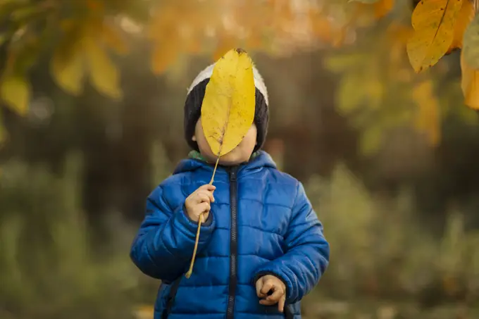 Portrait of a small boy in garden in blue jacket covering face w