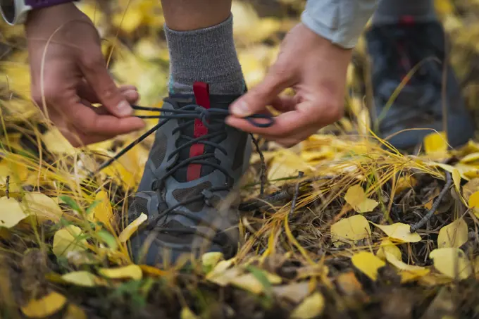Low section of woman tying shoelace in forest during autumn