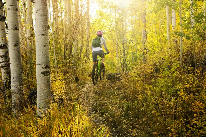 Rear view of woman mountain biking amidst trees in forest during autumn