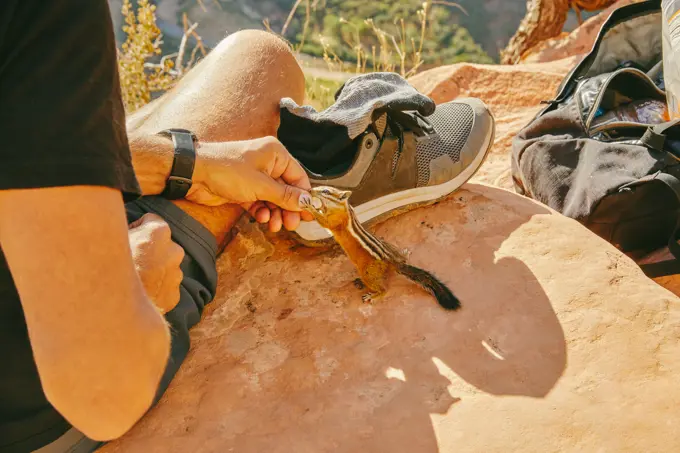 Young man feeding a chipmunk a cashew in Zion National Park, Utah