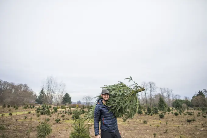 Portrait of man carrying Christmas Tree at the tree farm