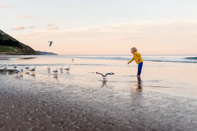 Small child feeding birds on New Zealand beach