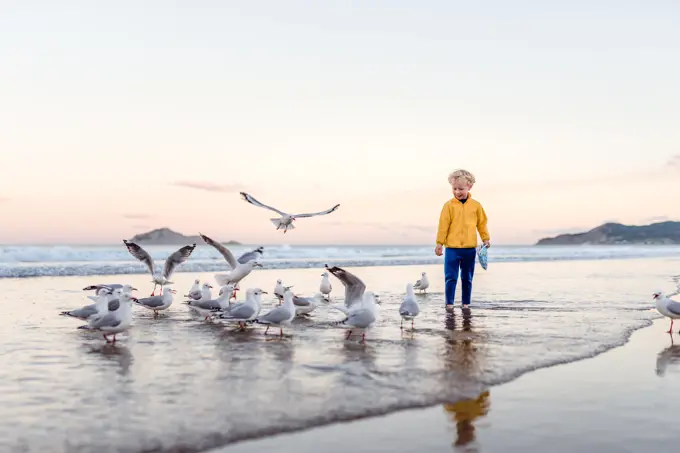 Smiling child with seagulls at beach in New Zealand