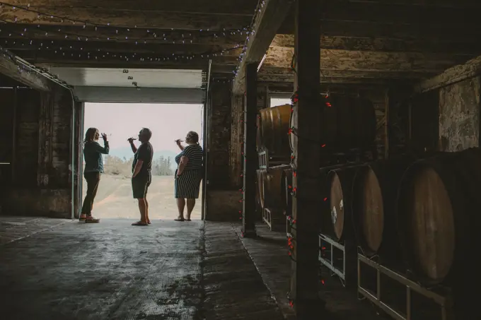 Three friends wine tasting at a local vineyard.