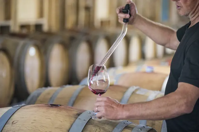 Cropped view of sommelier pouring wine from a barrel using a pipette