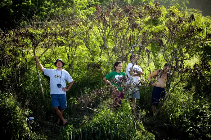 Spectators watch the surf at the 25th Eddie Aikau Big Wave Invitational. The biggest swell on the North Shore for 10 years brought 30-50 foot waves at Waimea Bay, Hawaii.