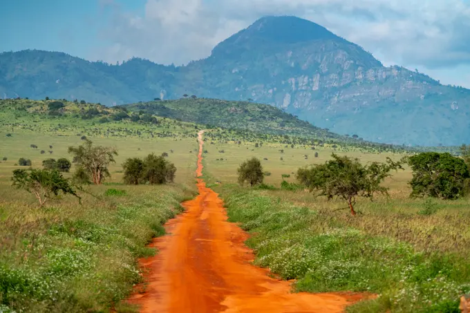 Red dirt road leading up a hill in Tsavo West in Kenya.