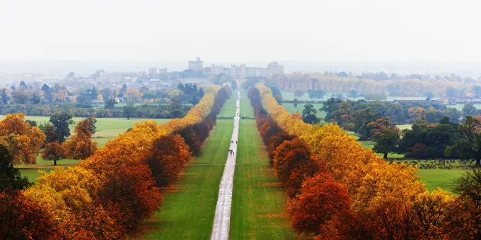 Windsor Great Park with Windsor Castle.