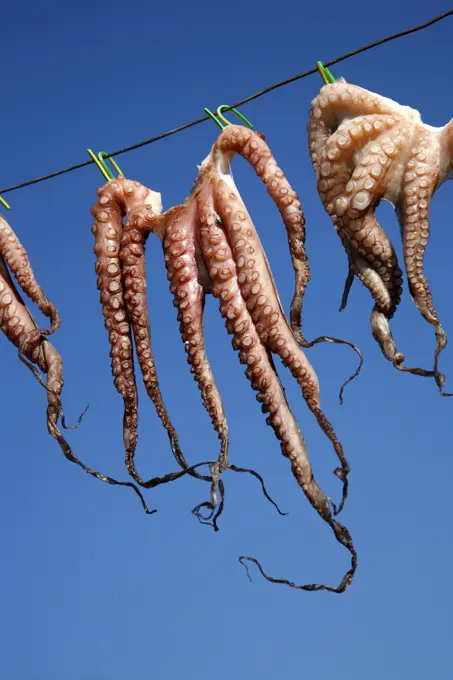 Octopus hanging to dry, Kos, Greece.