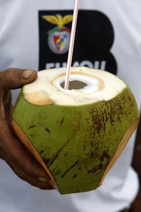 Coconut, Porto de Galinhas, Pernambuco, Brazil.