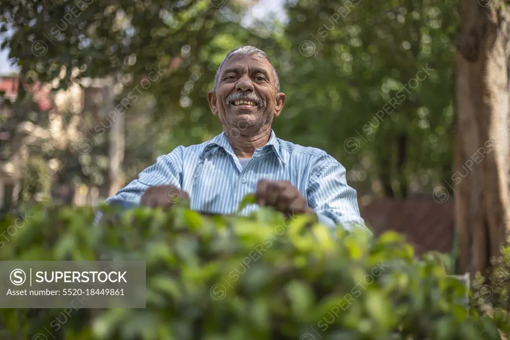 Gardener taking care of the garden by trimming bushes. (Common man)