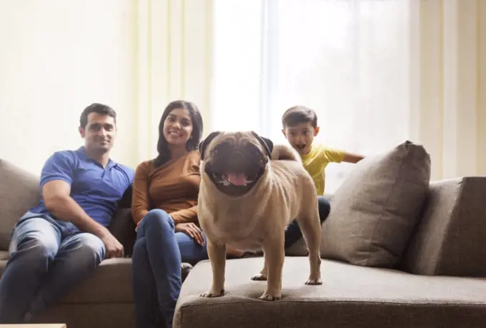 Family with son and pug on sofa