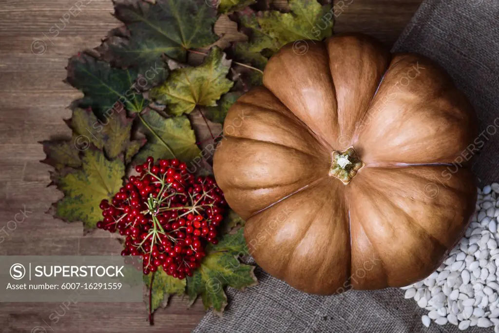 pumpkin lying on a wooden table with leaves, viburnum and seeds