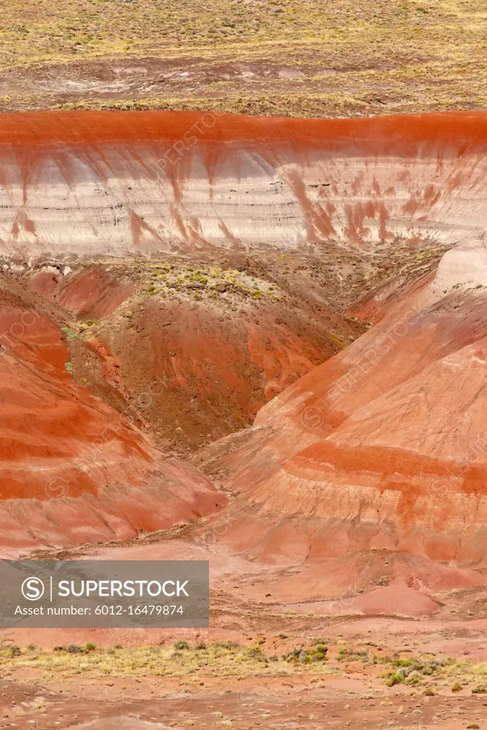 Petrified Forest National Park is in northeastern Arizona. In its south, the Rainbow Forest is full of colorful petrified wood.