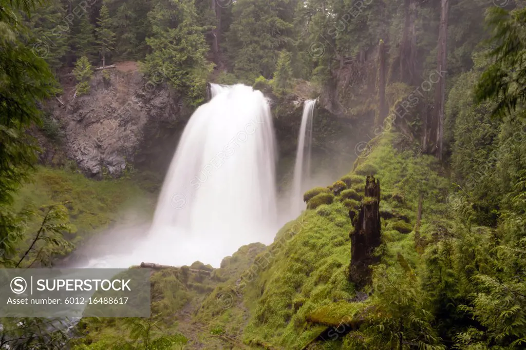 Sahalie Falls outputs a lot of water during the summer run off