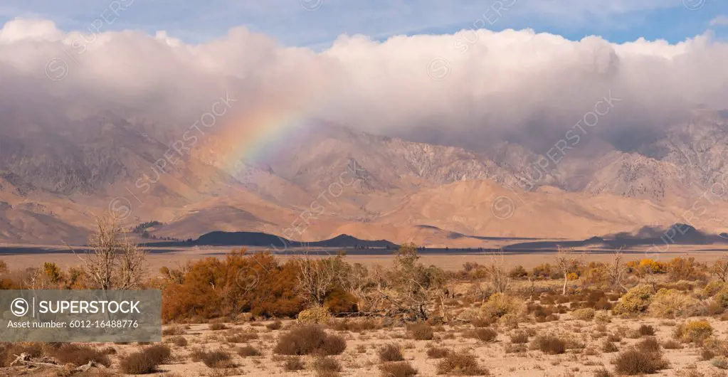 Clouds hang low over the mountains where range land meets national forest territory in California