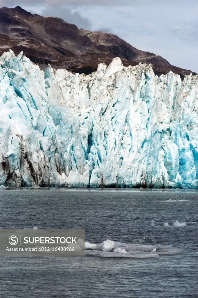 Small icebergs fill the bay in front of Aialik Glacier at Kenai Fjords National Park Alaska