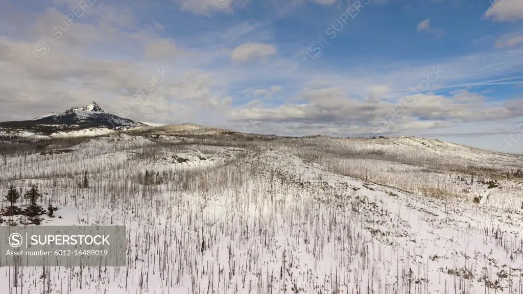 Burned forest below a mountain called Three Figered Jack in Oregon territory