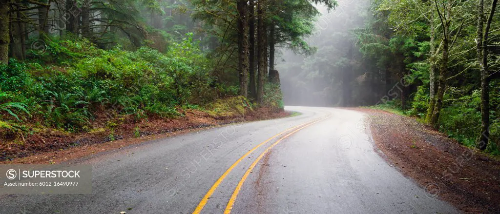 The sea mist has yet to burn off on this road descending down to the shore