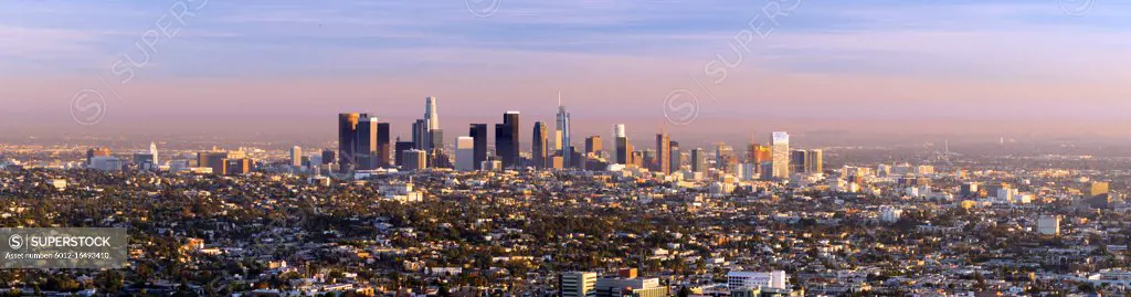 Green trees dominate the forground with the city skyline of Los Angeles in the background