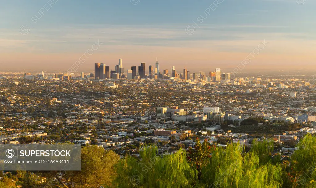 Green trees dominate the forground with the city skyline of Los Angeles in the background