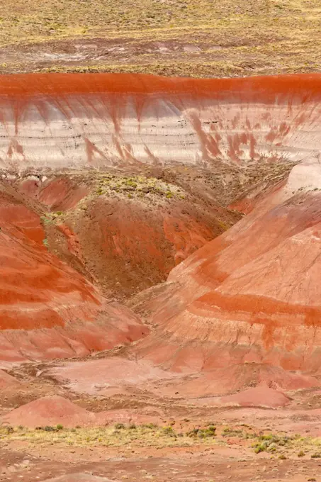 Petrified Forest National Park is in northeastern Arizona. In its south, the Rainbow Forest is full of colorful petrified wood.