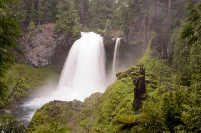 Sahalie Falls outputs a lot of water during the summer run off