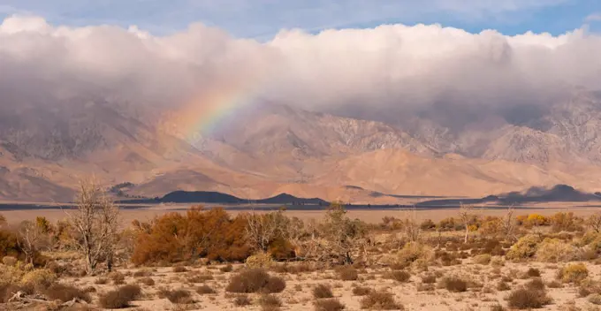 Clouds hang low over the mountains where range land meets national forest territory in California