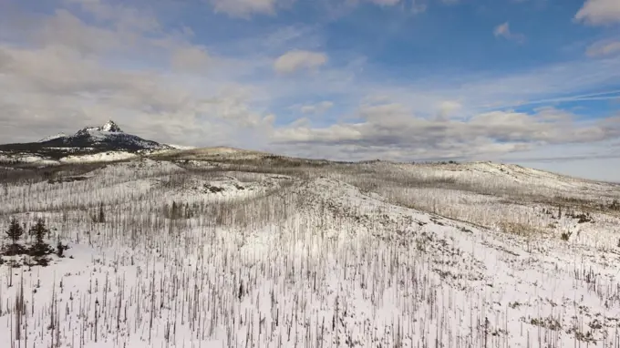 Burned forest below a mountain called Three Figered Jack in Oregon territory