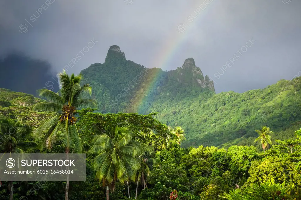 Rainbow on Moorea island jungle and mountains landscape. French Polynesia