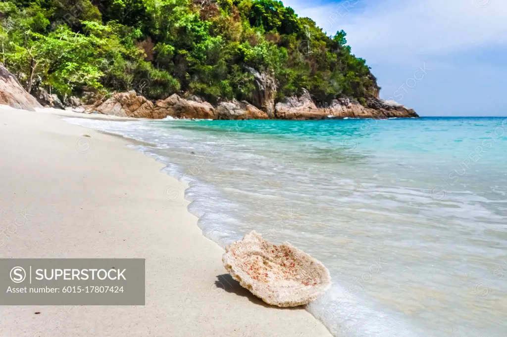 Coral on romantic beach, Perhentian Islands, Malaysia